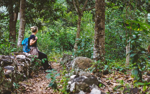 Ihre Ausflugsoptionen