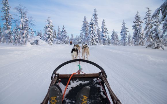 Ihre Rundreise im Detail