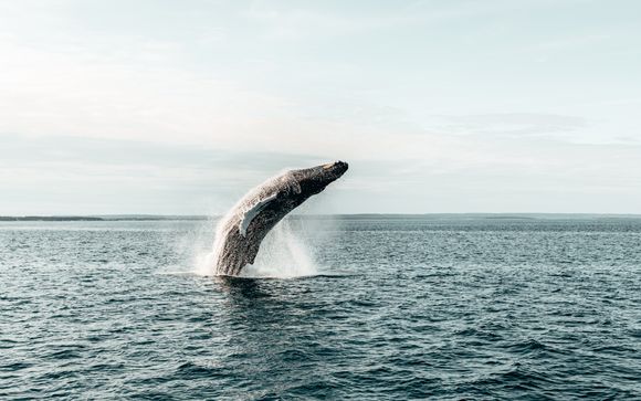 Ihre Rundreise im Detail