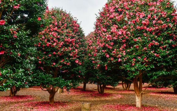 Ihre Rundreise im Detail