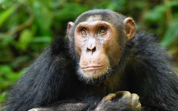 Ihre Rundreise im Überblick