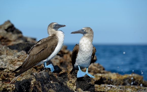 Ihre Rundreise im Detail