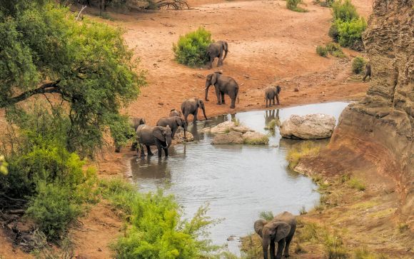 Ihre Safari im Detail