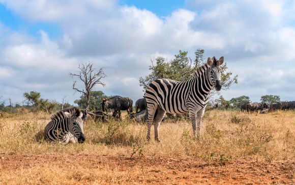 Ihre Ausflugsoptionen