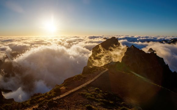 Ihre Ausflugsoptionen