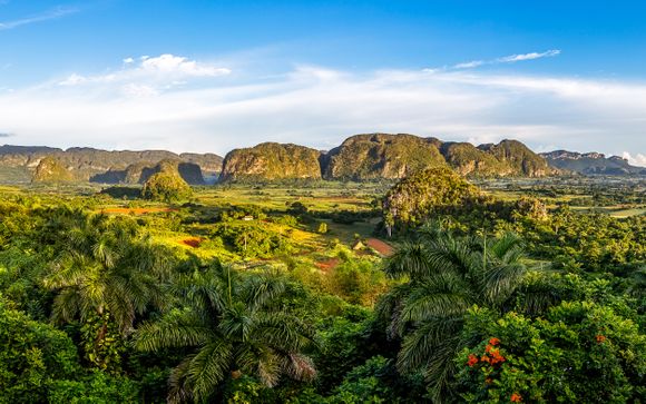 Ihre Rundreise im Detail