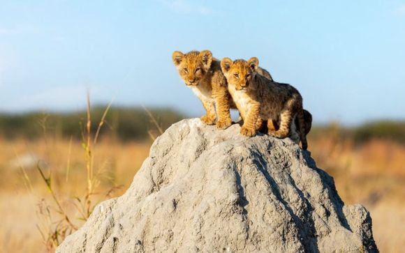 Willkommen in Kenia!