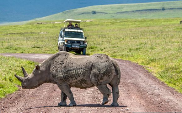 Ihre Safari im Detail