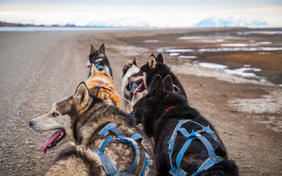 Husky-Kutschfahrt