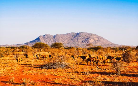 Willkommen in Kenia