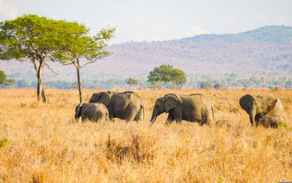 Ihre Ausflugsoptionen