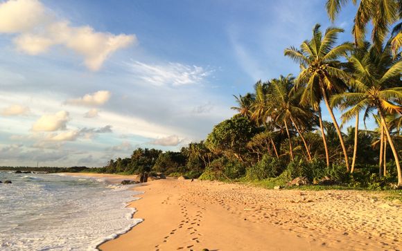 Willkommen in Sri Lanka!
