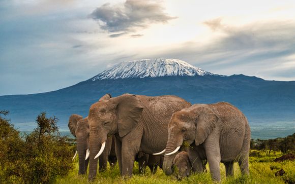 Ihre Safari im Detail