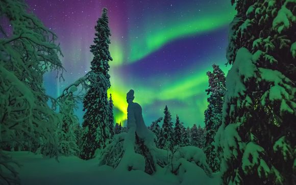 Ihre Reise im Detail