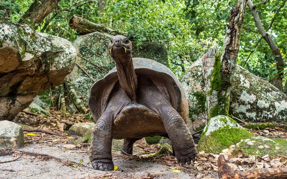 Ihre Kreuzfahrt im Detail
