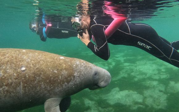 Im Angebot inbegriffen