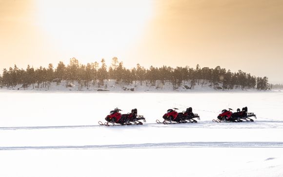 Ihre Reise im Detail