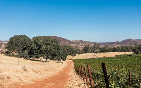 Willkommen in den USA!