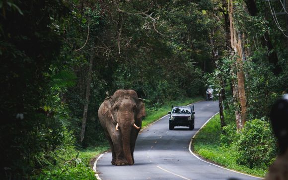 Ihre Rundreise im Detail