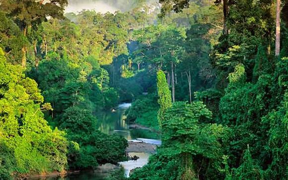 Im Angebot enthalten