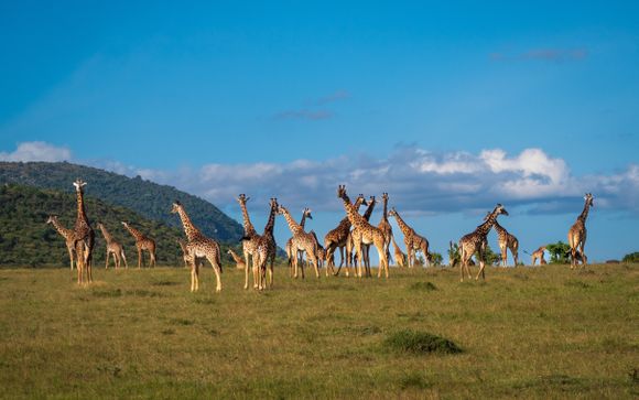 Ihre Safari im Detail