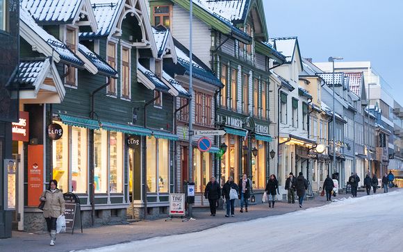 Ihr Programm im Detail