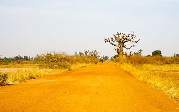 Willkommen in... Gambia und im Senegal!