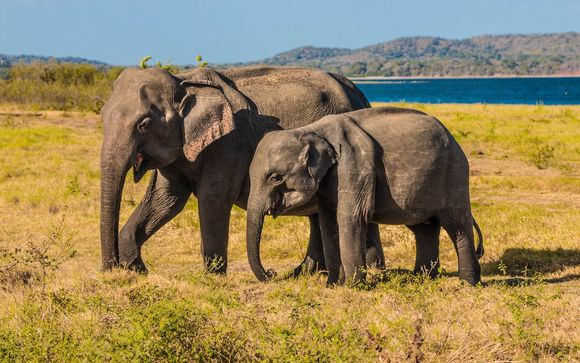 Unsere kleinen Tipps für einen perfekten Aufenthalt