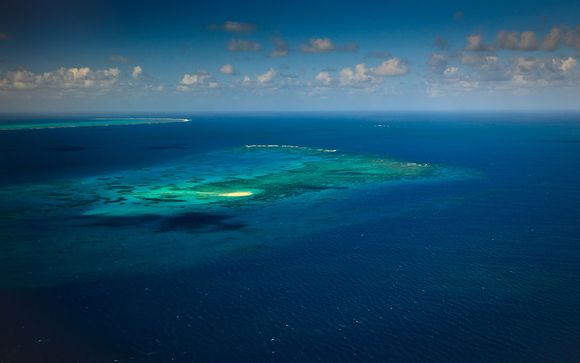 Ihre Optionen in Cairns