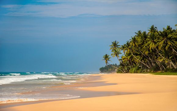 Ihre Rundreise im Detail