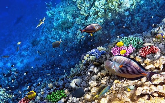 Ihr Freizeit- und Wellnessangebot