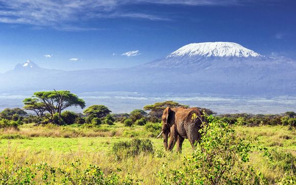 Safari im Tsavo Est Nationalpark - mit 2 Übernachtungen