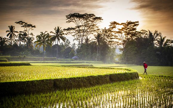 Willkommen auf... der Insel Bali!
