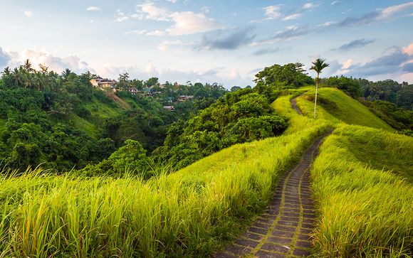 Willkommen auf... der Insel Bali!