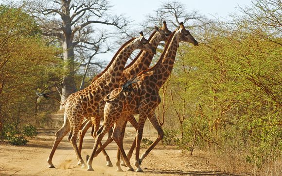 Ihre Rundreise im Überblick