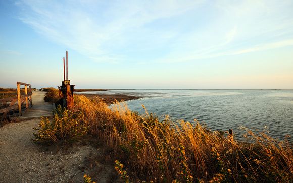 Willkommen in der... Camargue!