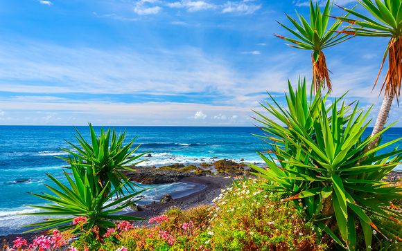 Wenige Meter vom Strand entfernt mit Halbpension