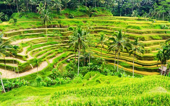 Ihr Freizeit- und Wellnessangebot