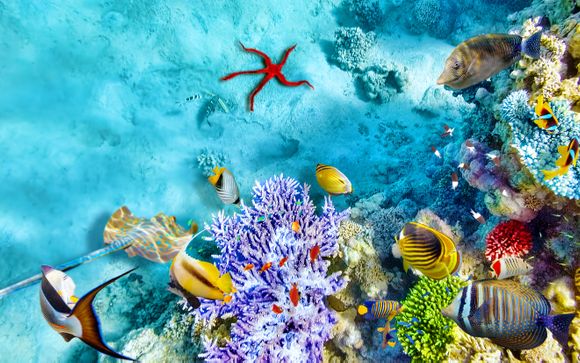 Willkommen in... Ägypten!