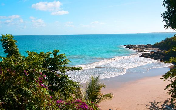 Willkommen in... Tobago!