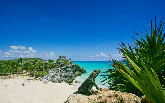 Willkommen in... Mexiko!