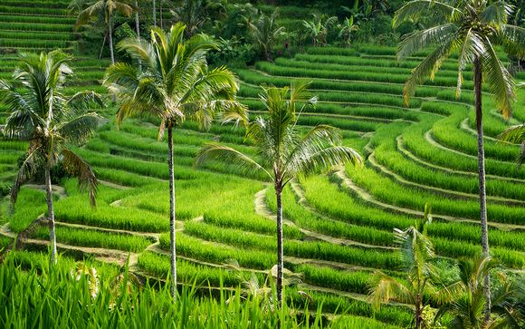 Willkommen auf ... Bali!