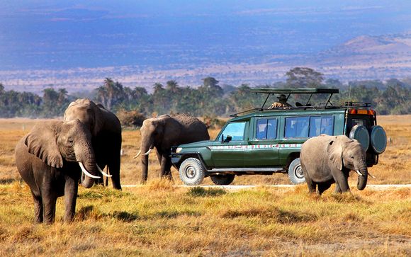 Ihre Safaris im Detail (mit Angebot 1)