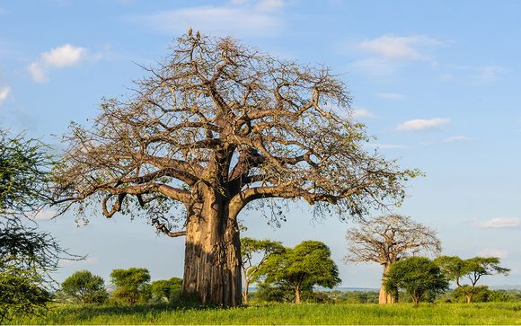 Ihre Rundreise im Detail