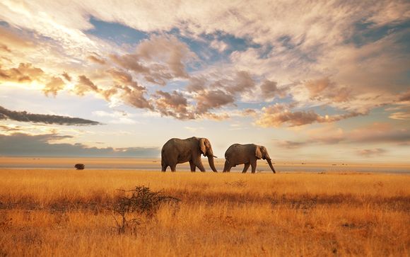 Ihre Reiseroute auf Ihrer Safari im Detail