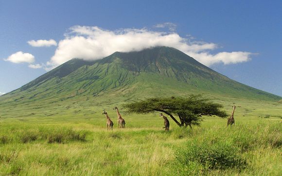 Ihre optionalen Safaris