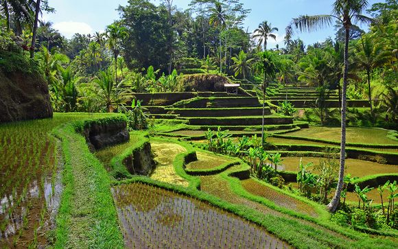 Ihre Rundreise im Detail