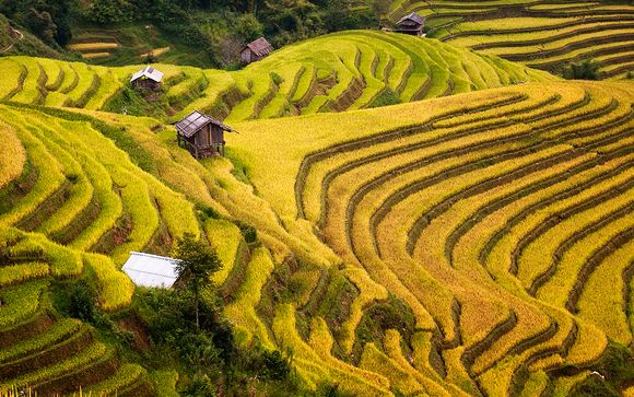 Ihre Rundreise im Detail