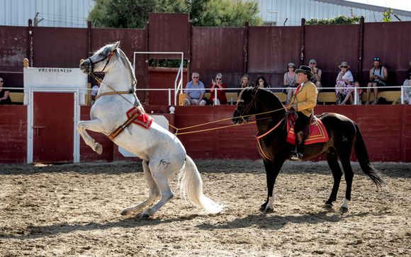 ¡Completa tu estancia!