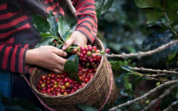 ¡Completa tu estancia!